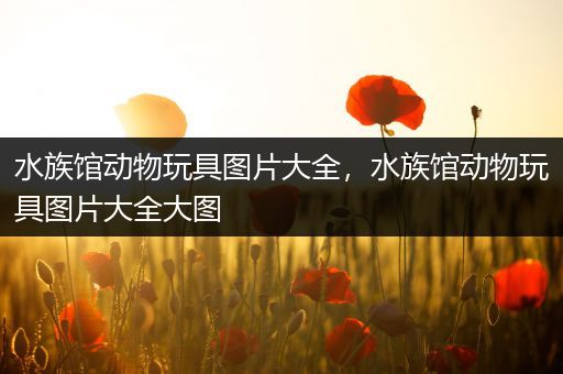 水族馆动物玩具图片大全，水族馆动物玩具图片大全大图