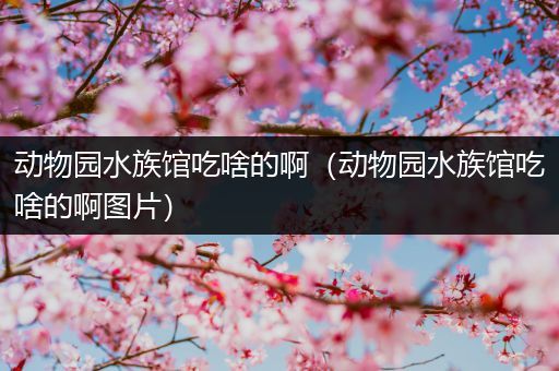 动物园水族馆吃啥的啊（动物园水族馆吃啥的啊图片）