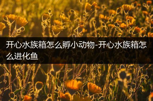 开心水族箱怎么孵小动物-开心水族箱怎么进化鱼