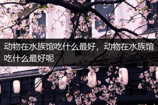 动物在水族馆吃什么最好，动物在水族馆吃什么最好呢
