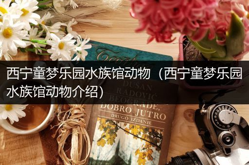 西宁童梦乐园水族馆动物（西宁童梦乐园水族馆动物介绍）