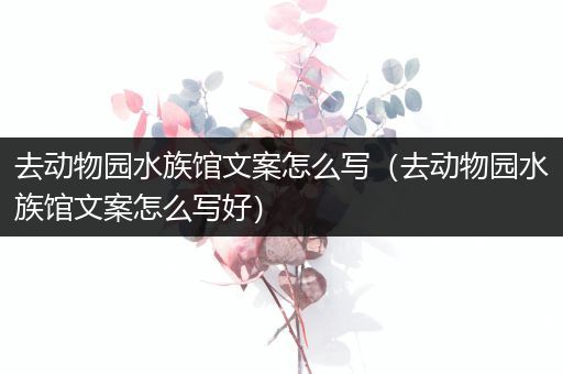 去动物园水族馆文案怎么写（去动物园水族馆文案怎么写好）