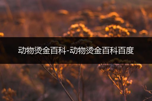 动物烫金百科-动物烫金百科百度