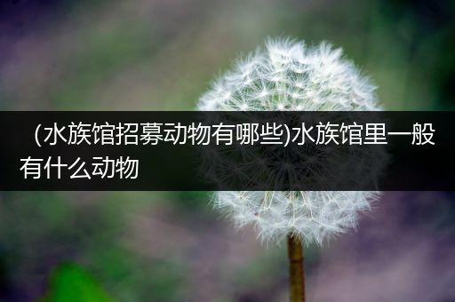 （水族馆招募动物有哪些)水族馆里一般有什么动物