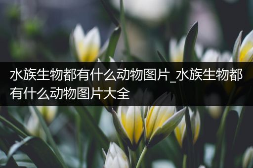 水族生物都有什么动物图片_水族生物都有什么动物图片大全