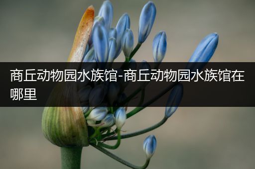 商丘动物园水族馆-商丘动物园水族馆在哪里