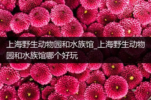 上海野生动物园和水族馆_上海野生动物园和水族馆哪个好玩