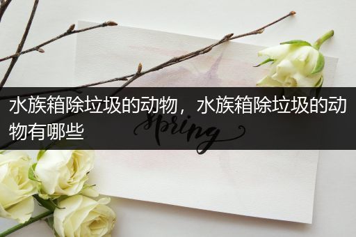 水族箱除垃圾的动物，水族箱除垃圾的动物有哪些