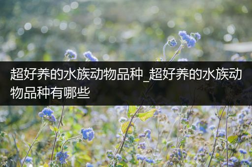 超好养的水族动物品种_超好养的水族动物品种有哪些