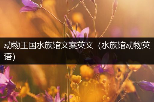动物王国水族馆文案英文（水族馆动物英语）