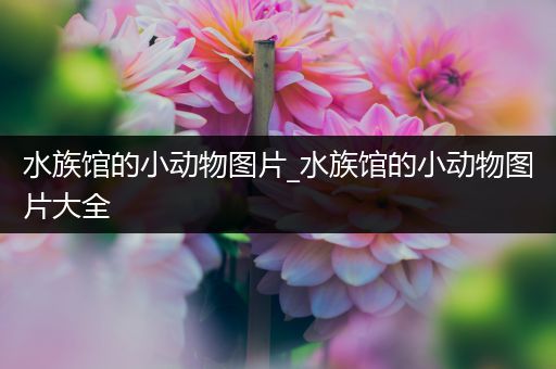 水族馆的小动物图片_水族馆的小动物图片大全