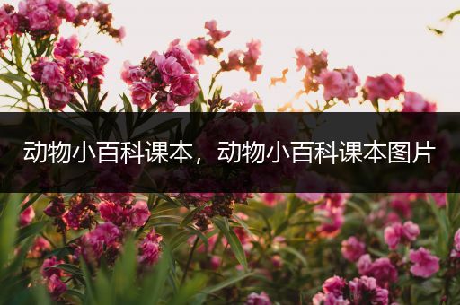 动物小百科课本，动物小百科课本图片