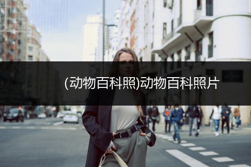 （动物百科照)动物百科照片