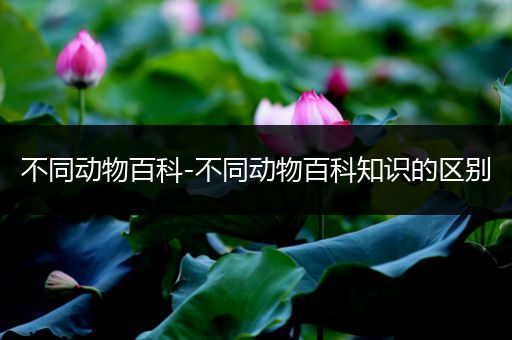 不同动物百科-不同动物百科知识的区别