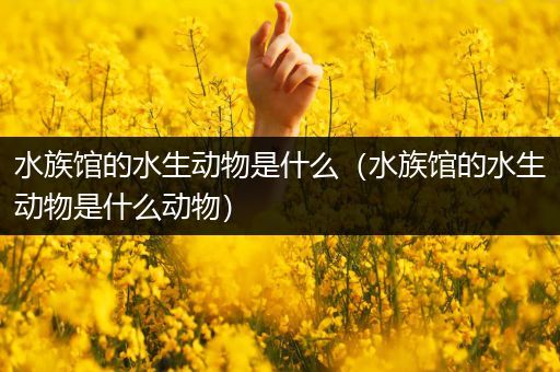 水族馆的水生动物是什么（水族馆的水生动物是什么动物）