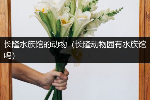 长隆水族馆的动物（长隆动物园有水族馆吗）