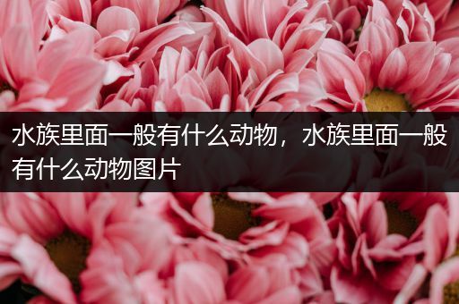 水族里面一般有什么动物，水族里面一般有什么动物图片