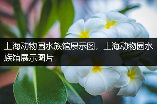 上海动物园水族馆展示图，上海动物园水族馆展示图片