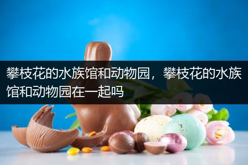攀枝花的水族馆和动物园，攀枝花的水族馆和动物园在一起吗
