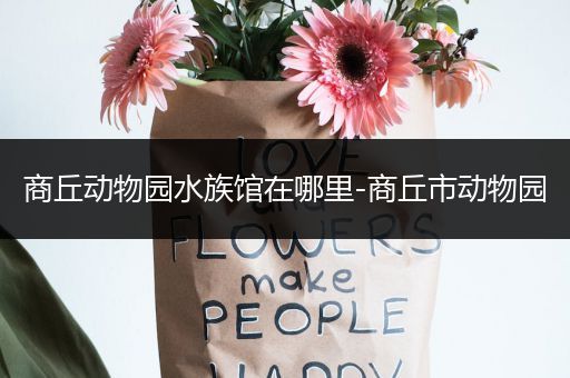 商丘动物园水族馆在哪里-商丘市动物园