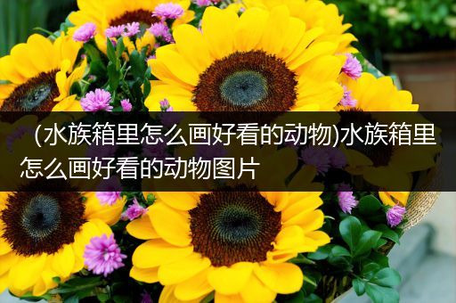 （水族箱里怎么画好看的动物)水族箱里怎么画好看的动物图片