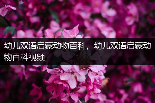 幼儿双语启蒙动物百科，幼儿双语启蒙动物百科视频