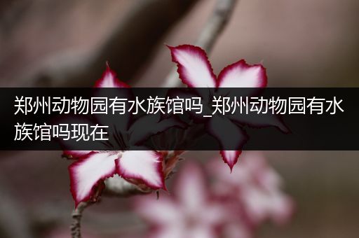 郑州动物园有水族馆吗_郑州动物园有水族馆吗现在