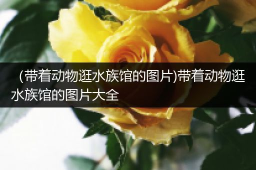 （带着动物逛水族馆的图片)带着动物逛水族馆的图片大全