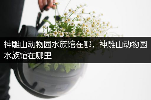 神雕山动物园水族馆在哪，神雕山动物园水族馆在哪里