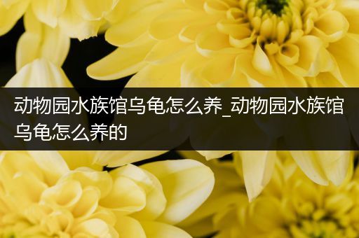动物园水族馆乌龟怎么养_动物园水族馆乌龟怎么养的