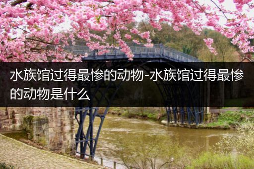 水族馆过得最惨的动物-水族馆过得最惨的动物是什么