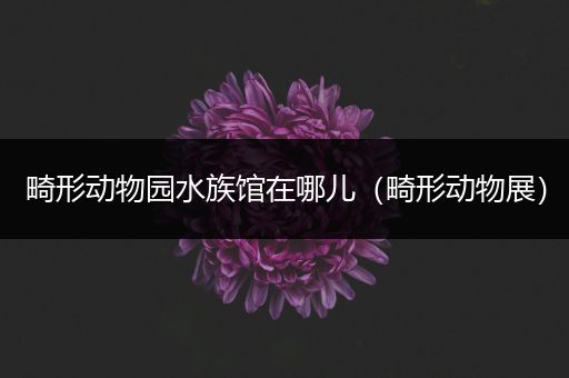 畸形动物园水族馆在哪儿（畸形动物展）
