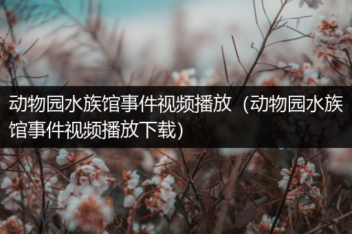 动物园水族馆事件视频播放（动物园水族馆事件视频播放下载）