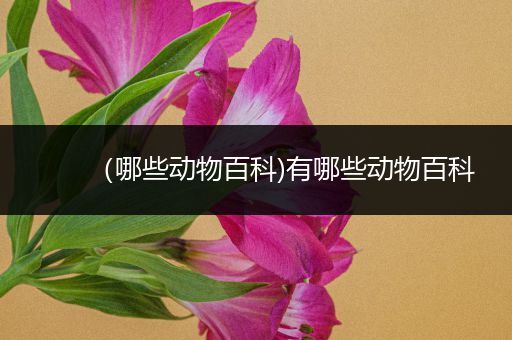 （哪些动物百科)有哪些动物百科