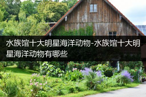 水族馆十大明星海洋动物-水族馆十大明星海洋动物有哪些
