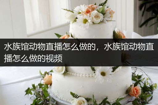 水族馆动物直播怎么做的，水族馆动物直播怎么做的视频