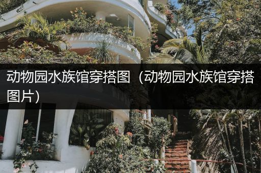 动物园水族馆穿搭图（动物园水族馆穿搭图片）