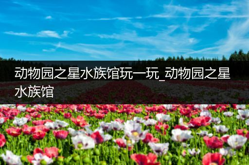 动物园之星水族馆玩一玩_动物园之星 水族馆