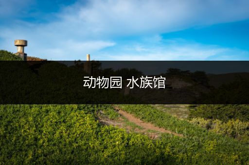 动物园 水族馆