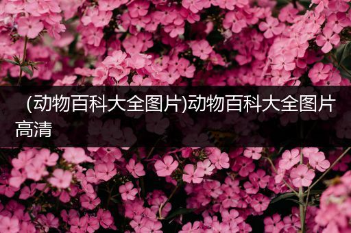 （动物百科大全图片)动物百科大全图片高清