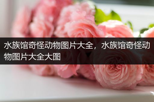 水族馆奇怪动物图片大全，水族馆奇怪动物图片大全大图