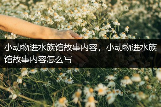 小动物进水族馆故事内容，小动物进水族馆故事内容怎么写