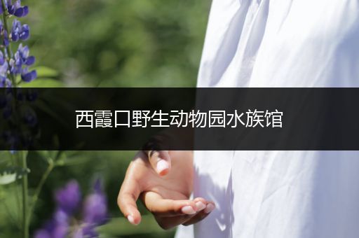 西霞口野生动物园水族馆