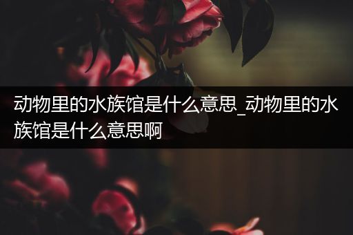 动物里的水族馆是什么意思_动物里的水族馆是什么意思啊