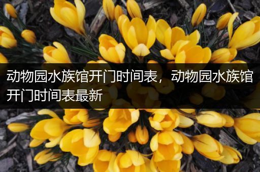 动物园水族馆开门时间表，动物园水族馆开门时间表最新