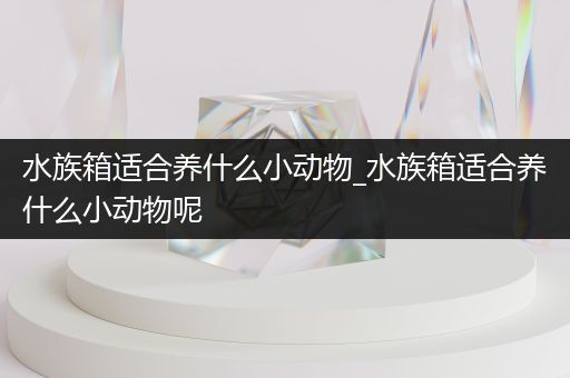 水族箱适合养什么小动物_水族箱适合养什么小动物呢