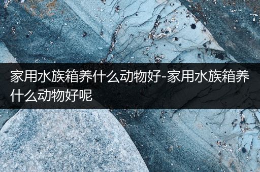 家用水族箱养什么动物好-家用水族箱养什么动物好呢