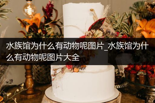 水族馆为什么有动物呢图片_水族馆为什么有动物呢图片大全