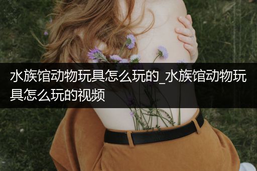 水族馆动物玩具怎么玩的_水族馆动物玩具怎么玩的视频