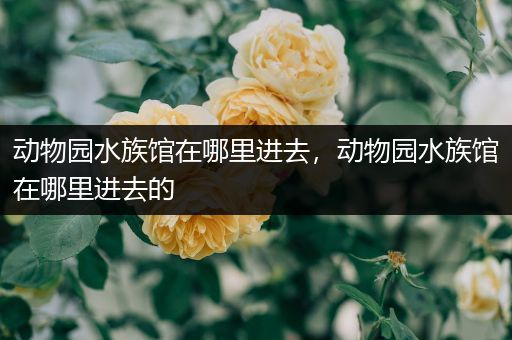 动物园水族馆在哪里进去，动物园水族馆在哪里进去的